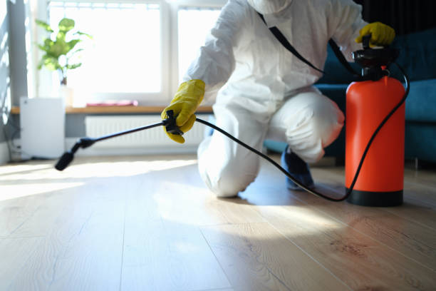 Reliable Odor Removal contractor in Atlantic, NC by Trauma Clean Pros